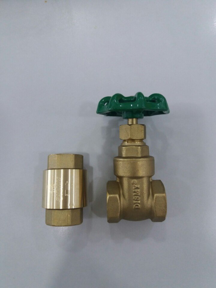 Van cửa ren đồng Dismy pn 20 Van cửa ren đồng Dismy pn 20